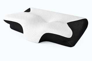 WellHaven™ Orthopaedic Memory Foam Pillow